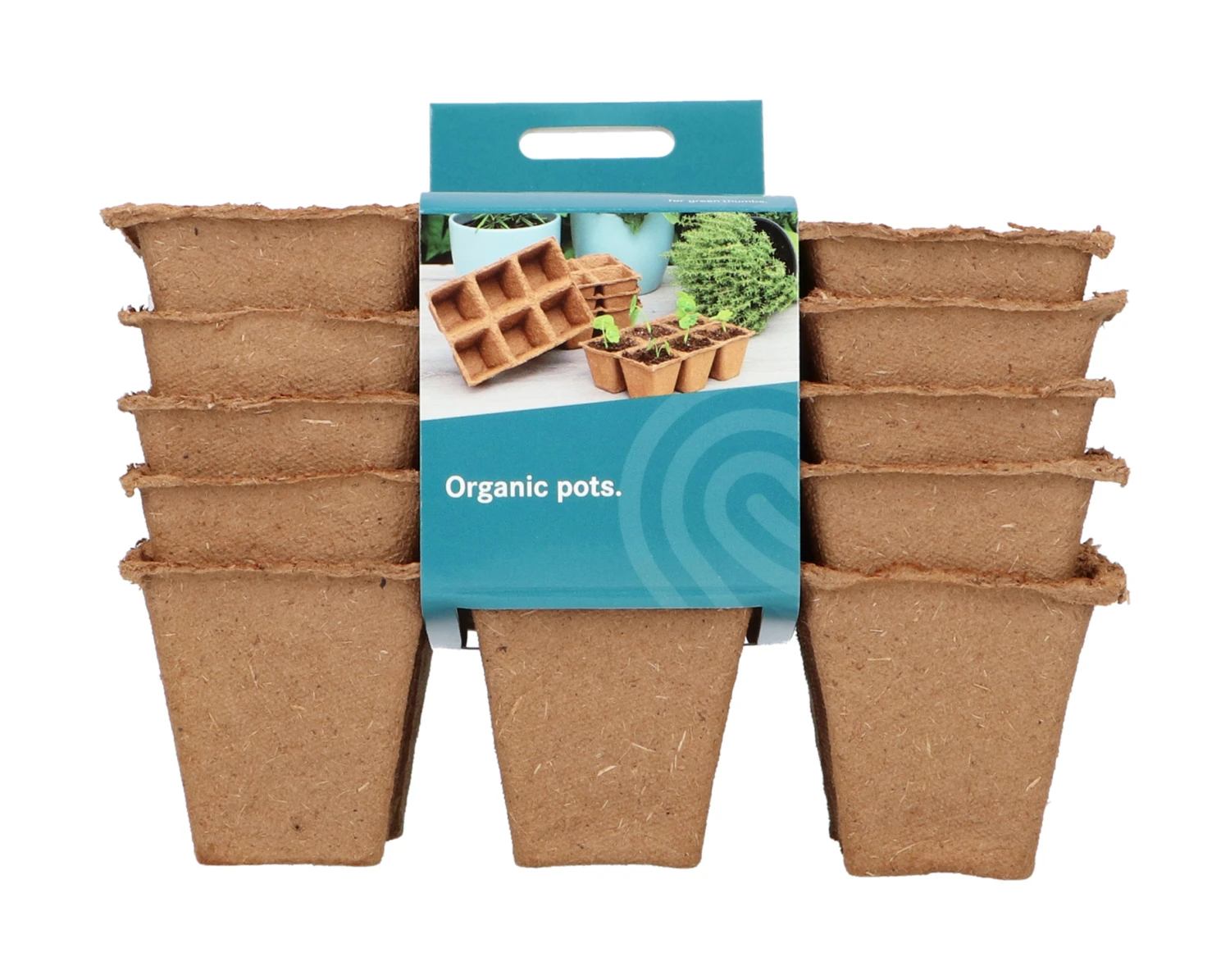 6 X 6 Cm Anzuchttopf Strips (32 Stück) | Anzuchttöpfe Von Sogo 3 6 X 6 Cm Anzuchttopf Strips (32 Stück) | Anzuchttöpfe Von Sogo