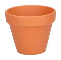 6,8 X 8 Cm Terracotta Töpfe (7 Stück) | Anzuchttöpfe Von Sogo -Compo Verkäufe 548519 6 8 x 8 cm Terracotta Toepfe 7 Stueck 887324 sg 2
