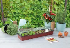 Fensterbank Gewächshaus | Zimmergewächshaus Von Sogo -Compo Verkäufe 548522 Fensterbank Gewaechshaus 887340 sg 2