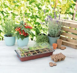 Gewächshaus (18 Töpfe) | Zimmergewächshaus Von Sogo -Compo Verkäufe 548523 Gewaechshaus mit 18 Toepfe 887342 sg 2