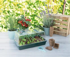 Gewächshaus Mit Belüftung | Zimmergewächshaus Von Sogo -Compo Verkäufe 548525 Gewaechshaus mit Belueftung 887346 sg 3