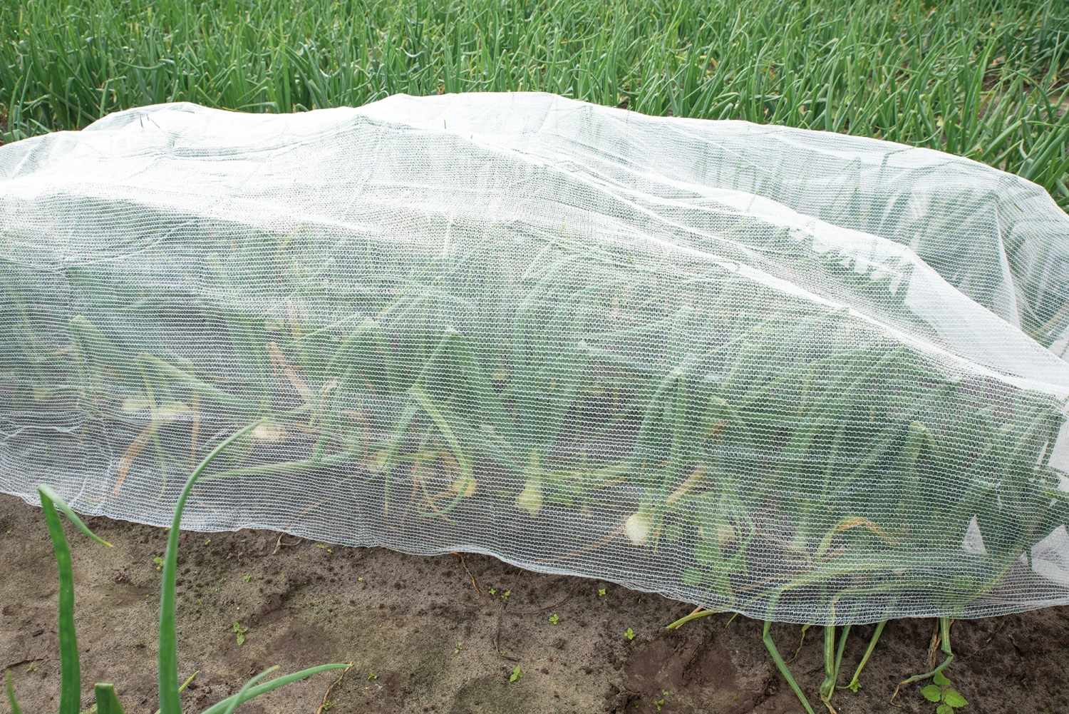 Klimatuch | Gartenzubehör Von Sogo 3 Klimatuch | Gartenzubehör Von Sogo