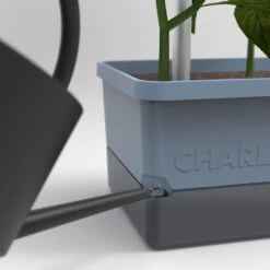 Charly Chili Chilitopf Blau | Chilitöpfe Von Gusta Garden -Compo Verkäufe 548626 Charly Chili Chilitopf blau 104710 gg 3