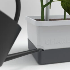 Charly Chili Chilitopf Hellgrau | Chilitöpfe Von Gusta Garden -Compo Verkäufe 548628 Charly Chili Chilitopf hellgrau 100710 gg 3