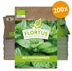 Pfefferminze (100 Tütchen) | BIO Pfefferminzsamen Von FLORTUS -Compo Verkäufe 549273 BIO Pfefferminze 100 Tuetchen 2000 0453 100x 0