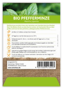 Pfefferminze (100 Tütchen) | BIO Pfefferminzsamen Von FLORTUS -Compo Verkäufe 549273 BIO Pfefferminze 100 Tuetchen 2000 0453 100x 2