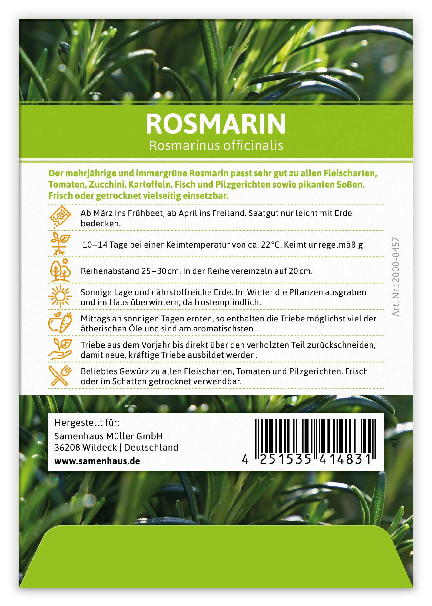 Rosmarin (100 Tütchen) | Rosmarinsamen Von FLORTUS 5 Rosmarin (100 Tütchen) | Rosmarinsamen Von FLORTUS – Bild 3
