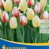 Triumphtulpe Happy Mischung (8 Stück) | Tulpenzwiebeln Von Kiepenkerl -Compo Verkäufe 549349 Triumphtulpe Happy Mischung 8 Stueck 504967 0