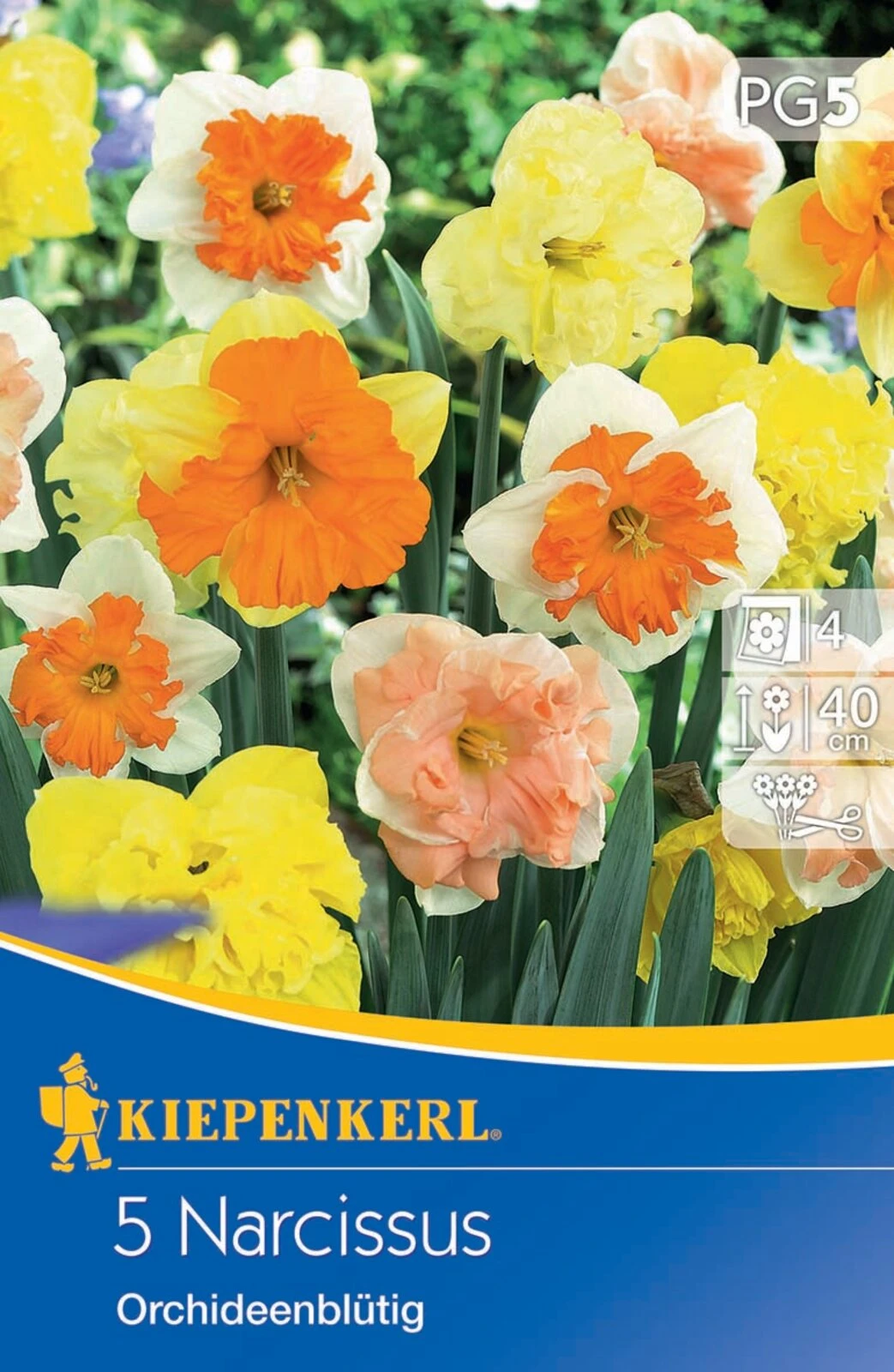 Narzissenmischung Orchideenblütige Mischung (5 Stück) | Narzissenzwiebeln Von Kiepenkerl 3 Narzissenmischung Orchideenblütige Mischung (5 Stück) | Narzissenzwiebeln Von Kiepenkerl