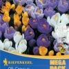 Mega-Pack Gartenkrokusmischung (25 Stück) | Krokuszwiebeln Von Kiepenkerl