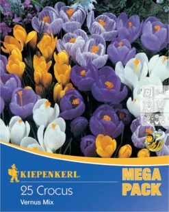 Mega-Pack Gartenkrokusmischung (25 Stück) | Krokuszwiebeln Von Kiepenkerl