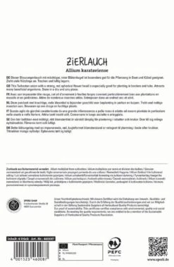 Zierlauch Red Giant Star (4 Stück) | Zierlauchzwiebeln Von Sperli