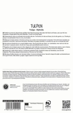 Tulpen Mischung (10 Stück) | Tulpenmischung Von Sperli