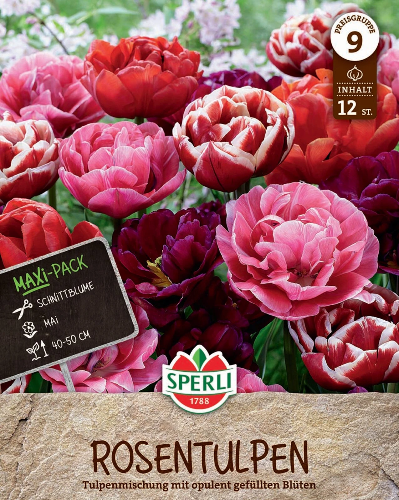 Rosentulpen Mischung (12 Stück) | Tulpenzwiebeln Von Sperli 3 Rosentulpen Mischung (12 Stück) | Tulpenzwiebeln Von Sperli