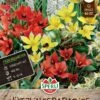 Frühlingsgarten Nützlingsparadies (40 Stück) | Blumenzwiebelmischungen Von Sperli -Compo Verkäufe 549478 Fruehlingsgarten Nuetzlingsparadies 40 Stueck 464276 0