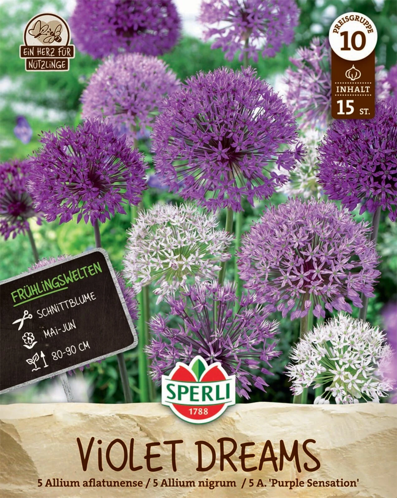 Frühlingsgarten Violet Dreams (15 Stück) | Zierlauchzwiebeln Von Sperli 4 Frühlingsgarten Violet Dreams (15 Stück) | Zierlauchzwiebeln Von Sperli – Bild 2