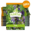 Ysop (100 Tütchen) | Ysopsamen Von FLORTUS