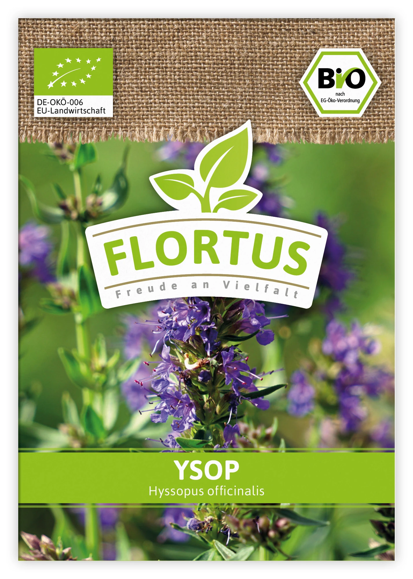 Ysop (100 Tütchen) | BIO Ysopsamen Von FLORTUS 5 Ysop (100 Tütchen) | BIO Ysopsamen Von FLORTUS – Bild 3