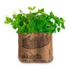 Duo-Garten Mojito | Anzuchtsets Von Baza -Compo Verkäufe 550262 Duo Garten Mojito 18037310 bz 1