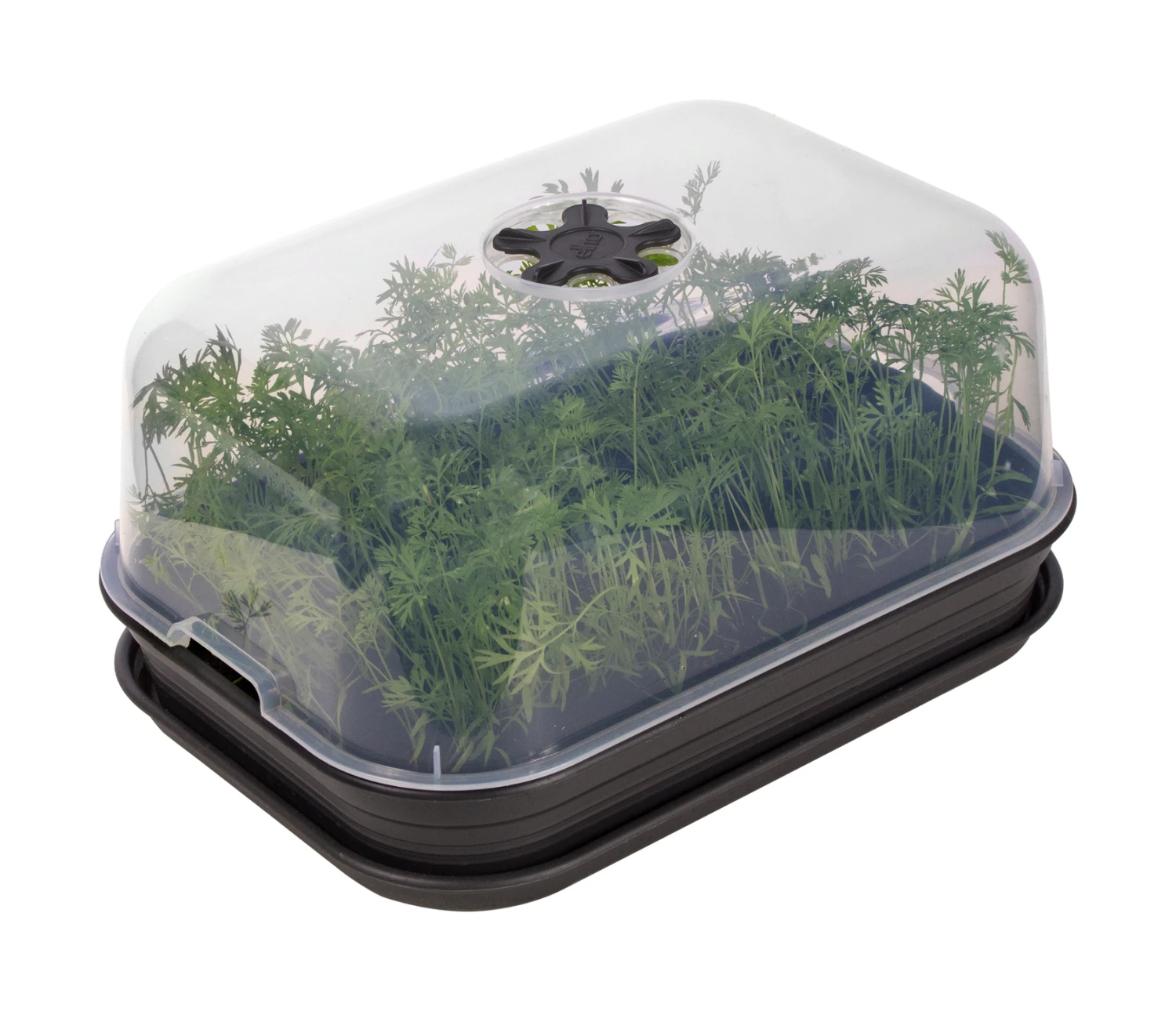 Green Basic Anzucht Set All-In-One (living Schwarz) | Zimmergewächshaus Von Elho 3 Green Basic Anzucht Set All-In-One (living Schwarz) | Zimmergewächshaus Von Elho