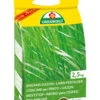 Langzeit Rasendünger (2,5 Kg) | Rasendünger Von ASB Greenworld -Compo Verkäufe 550435 Langzeit Rasenduenger 2 5 kg 313515 asb 0