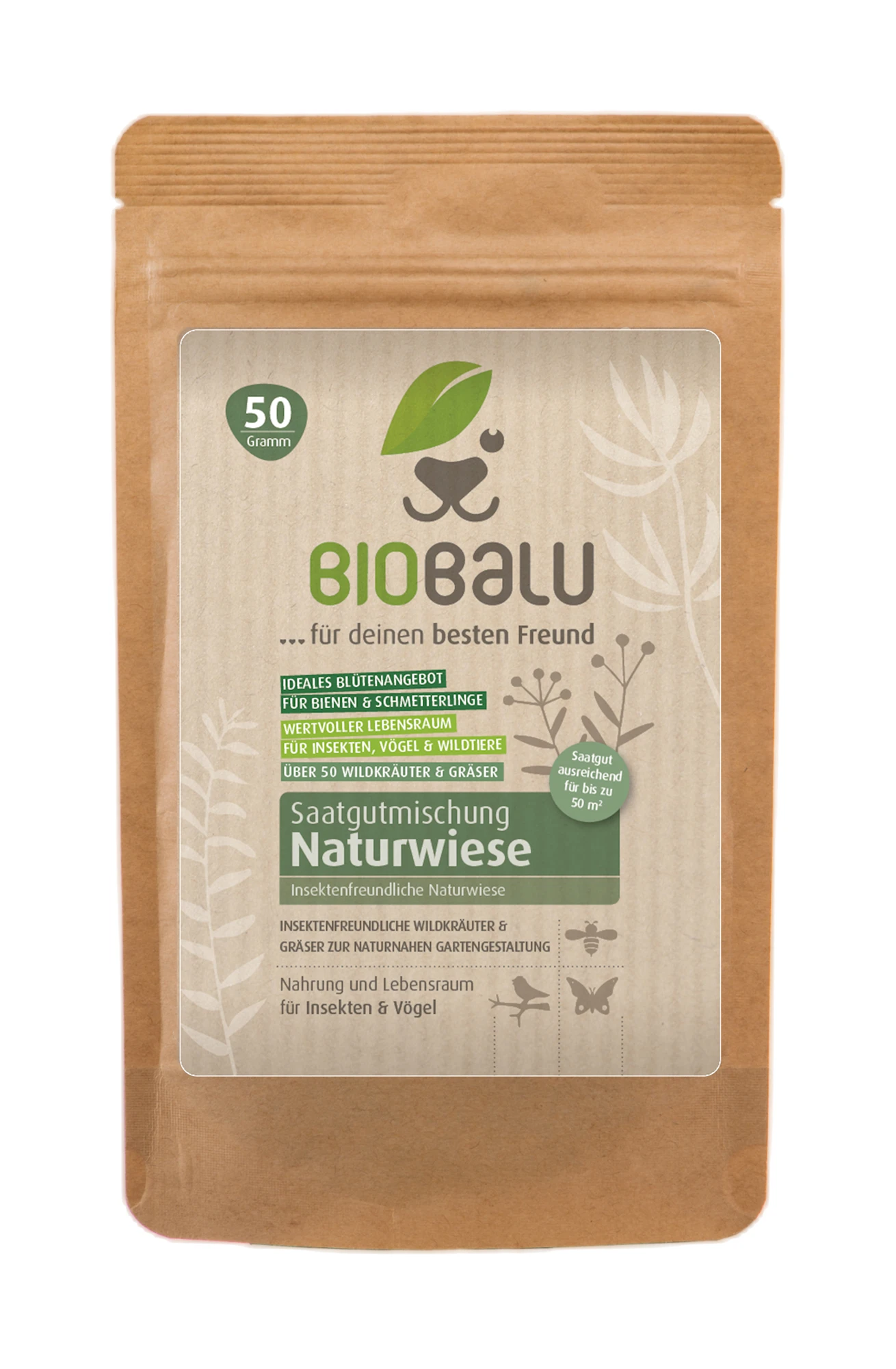Bienenweide Mit Wildgräsern (Naturwiese) | Bienenwiese Von Biobalu 3 Bienenweide Mit Wildgräsern (Naturwiese) | Bienenwiese Von Biobalu