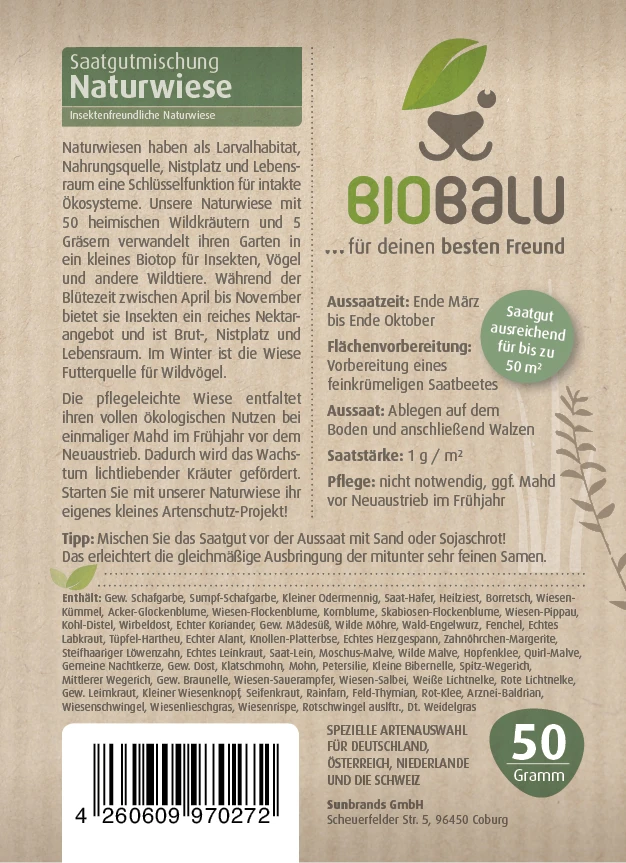 Bienenweide Mit Wildgräsern (Naturwiese) | Bienenwiese Von Biobalu 4 Bienenweide Mit Wildgräsern (Naturwiese) | Bienenwiese Von Biobalu – Bild 2