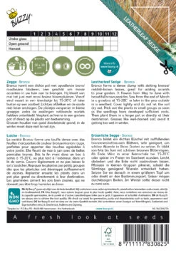 Bräunliche Segge Bronco | Ziergrassamen Von Buzzy Seeds