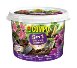 5in1 Pflanz-Dünger Und Mehr (1,5 L) | Dünger Von COMPO