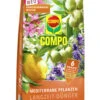 Mediterrane Pflanzen Langzeit-Dünger (1,5 Kg) | Dünger Von COMPO -Compo Verkäufe 551053 mediterrane Pflanzen Langzeit Duenger 1 5 kg 2589702004 co 0
