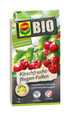Kirschfruchtfliegen-Fallen (3 Stück) | BIO Fallen Und Fernhaltemittel Von COMPO