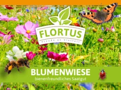 Blumenwiese (1/2 L Doypack) | Blumenwiese Von FLORTUS 11 Blumenwiese (1/2 L Doypack) | Blumenwiese Von FLORTUS -Compo Verkäufe 551641 Blumenwiese 1 2 Liter Doypack 2000 0186 1