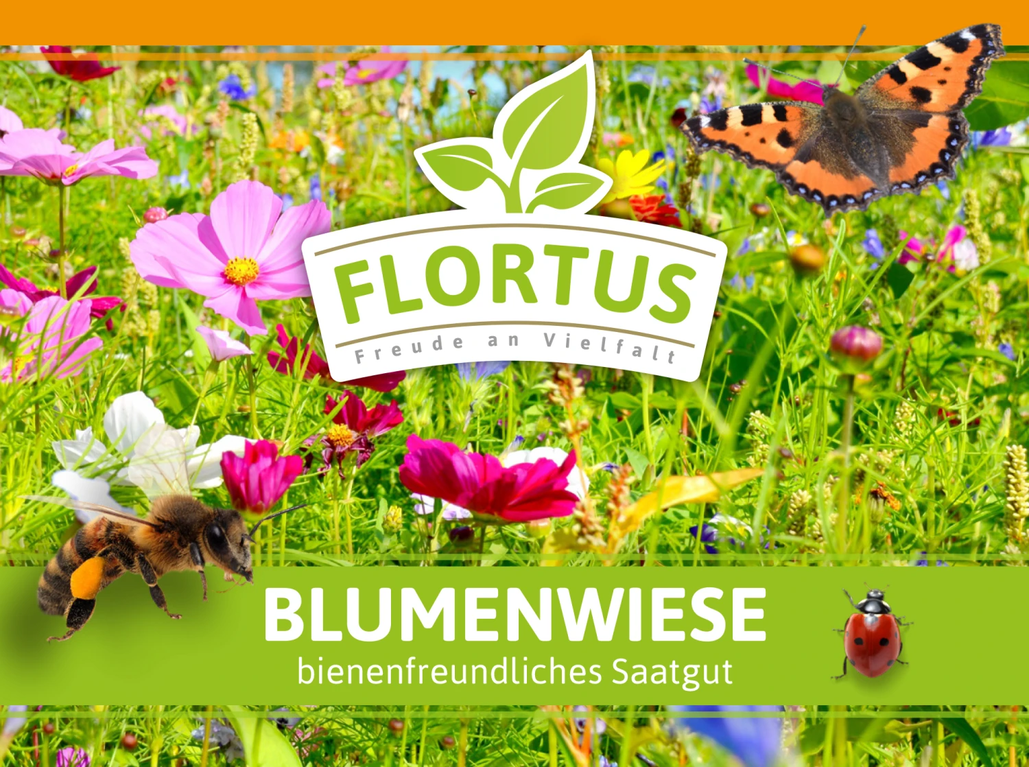 Blumenwiese (1/2 L Doypack) | Blumenwiese Von FLORTUS 6 Blumenwiese (1/2 L Doypack) | Blumenwiese Von FLORTUS – Bild 4