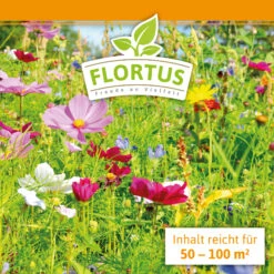 Blumenwiese (1/2 L Doypack) | Blumenwiese Von FLORTUS 13 Blumenwiese (1/2 L Doypack) | Blumenwiese Von FLORTUS -Compo Verkäufe 551641 Blumenwiese 1 2 Liter Doypack 2000 0186 3