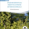 Einjähriger Beifuss | BIO Heilpflanzensamen Von Sativa Rheinau 1 Einjähriger Beifuss | BIO Heilpflanzensamen Von Sativa Rheinau -Compo Verkäufe 551680 BIO Einjaehriger Beifuss hp20 sr 0