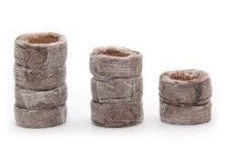 Kokos Quelltöpfe (1155 Stück) | BIO Kokos Quelltöpfe Von Jiffy -Compo Verkäufe 551968 BIO Kokos Quelltoepfe 1155 Stueck 63170030 jf 2