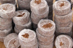 Kokos Quelltöpfe (1155 Stück) | BIO Kokos Quelltöpfe Von Jiffy -Compo Verkäufe 551968 BIO Kokos Quelltoepfe 1155 Stueck 63170030 jf 6