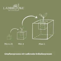 Erdballenpresse Mini 4 Soil Blocker Mit Kleinen Dübeleinsätzen | Erdtopfpressen Von Ladbrooke Soil Blockers -Compo Verkäufe 551991 Erdballenpresse Mini 4 Soil Blocker mit kleinen Duebeleinsaetzen LADMIN4 lsb 5