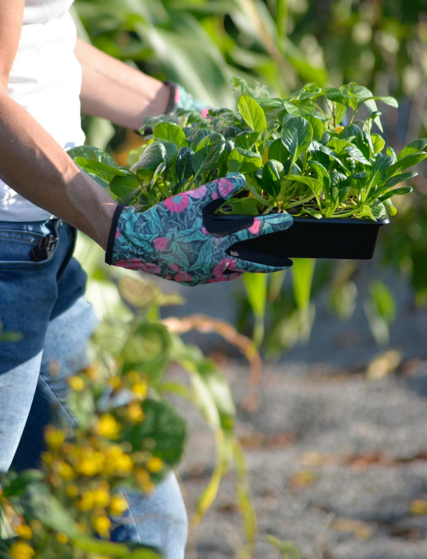 Handschuhe Convo 7 | Gartenhandschuhe Von Nelson Garden 3 Handschuhe Convo 7 | Gartenhandschuhe Von Nelson Garden