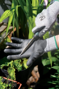 Handschuhe Größe 10 | Gartenhandschuhe Von Nelson Garden -Compo Verkäufe 552175 Handschuhe Groesse 10 7240 10 ng 1
