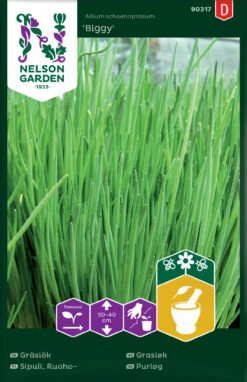 Schnittlauch Biggy | Schnittlauchsamen Von Nelson Garden