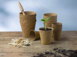 8 Cm Anzuchttopf Rund Auf Holzfaser Basis | Anzuchttöpfe Von FLORTUS -Compo Verkäufe 552303 8 cm Anzuchttopf rund auf Holzfaser Basis 30 Stueck 2000 0595 5