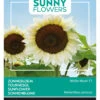 Sonnenblume White Moon F1 | Sonnenblumensamen Von Buzzy Seeds -Compo Verkäufe 552553 Sonnenblume White Moon F1 80827 by 0