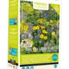 Friendly Flowers XL Tübinger Bienen Mischung (50 M²) | Bienenwiese Von Buzzy Seeds -Compo Verkäufe 552596 Friendly Flowers XL Tuebinger Bienen Mischung 50 m 85097 by 0