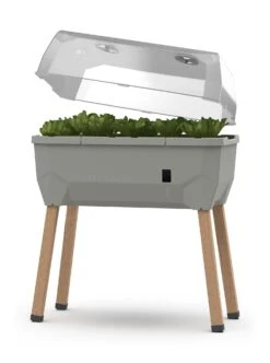 Sammy Salad Hochbeet Hellgrau | Balkonhochbeete Von Gusta Garden 19 Sammy Salad Hochbeet Hellgrau | Balkonhochbeete Von Gusta Garden -Compo Verkäufe 553101 Sammy Salad Hochbeet Hellgrau 100A10 gg 0