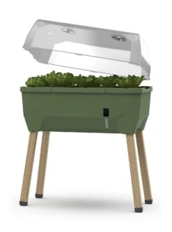 Sammy Salad Hochbeet Dunkelgrün | Balkonhochbeete Von Gusta Garden -Compo Verkäufe 553103 Sammy Salad Hochbeet Dunkelgruen 103A10 gg 0