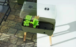 Sammy Salad Hochbeet Dunkelgrün | Balkonhochbeete Von Gusta Garden -Compo Verkäufe 553103 Sammy Salad Hochbeet Dunkelgruen 103A10 gg 2