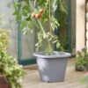 Tomatentopf Anthrazit | Tomatentöpfe Von Clever Pots -Compo Verkäufe 553525 Tomatentopf Anthrazit 1 Stueck 461500 kp 4