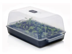 Anzucht-Gewächshaus Easy Water | Zimmergewächshaus Von Clever Pots -Compo Verkäufe 553911 Gewaechshaus Easy Water 050 0017 0