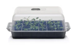 Anzucht-Gewächshaus Easy Water | Zimmergewächshaus Von Clever Pots -Compo Verkäufe 553911 Gewaechshaus Easy Water 050 0017 1